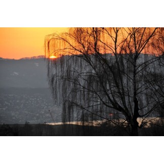 Zurich, Switzerland, Sunset